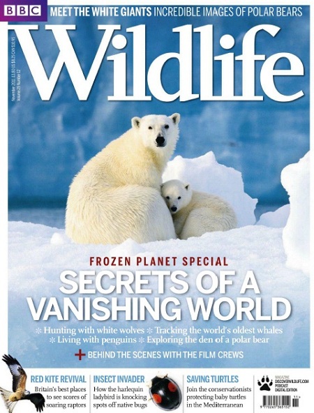 BBC Wildlife - November 2011 (HQ PDF)